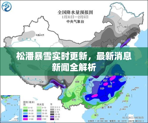 关于我们 第30页
