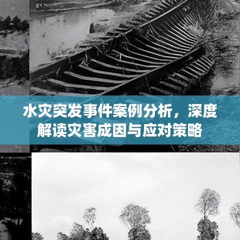 水灾突发事件案例分析，深度解读灾害成因与应对策略