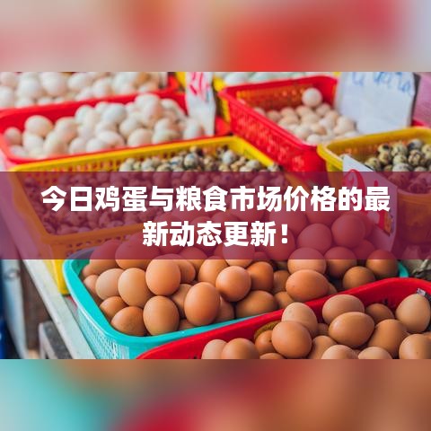 还醇返朴