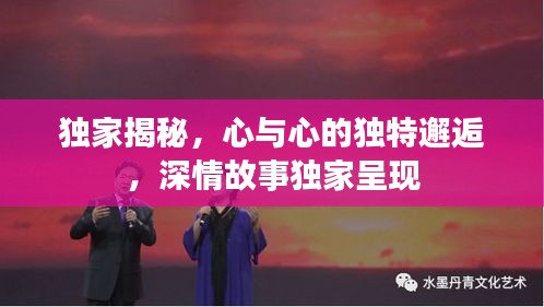 独家揭秘，心与心的独特邂逅，深情故事独家呈现
