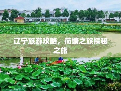 辽宁旅游攻略，荷塘之旅探秘之旅