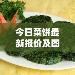 培训课程 第13页