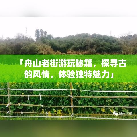 「舟山老街游玩秘籍，探寻古韵风情，体验独特魅力」