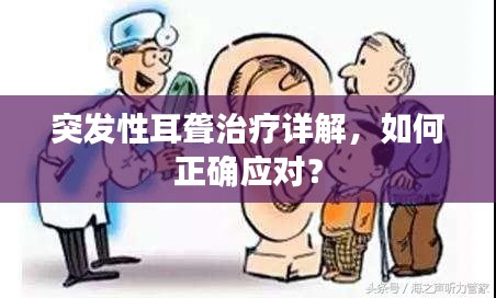 考级报名 第13页