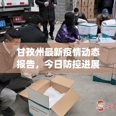 甘孜州最新疫情动态报告，今日防控进展与疫情情况分析