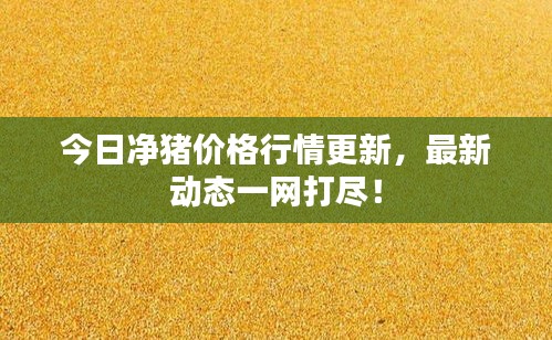今日净猪价格行情更新，最新动态一网打尽！