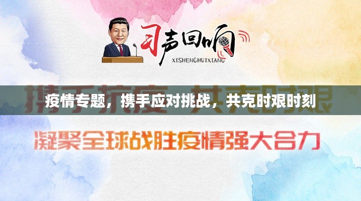 资料下载 第11页