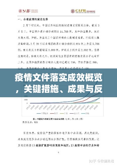 疫情文件落实成效概览，关键措施、成果与反思
