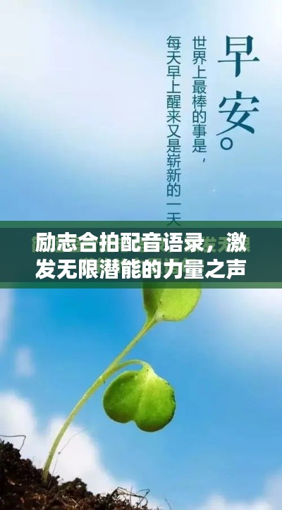 关于我们 第10页