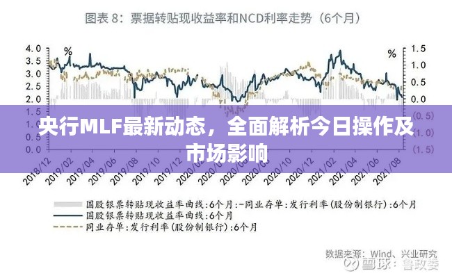 央行MLF最新动态，全面解析今日操作及市场影响
