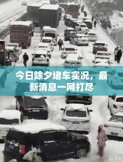 今日除夕堵车实况，最新消息一网打尽