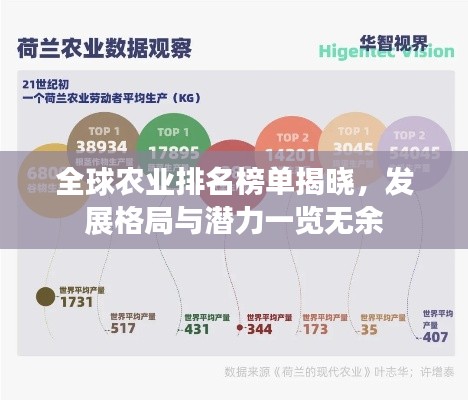 全球农业排名榜单揭晓，发展格局与潜力一览无余
